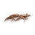 Antique Rose Cut Diamond 14k Rose Gold Silver Top Double Bird Brooch For Sale In Los Angeles - Image 6 of 7