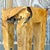 Vintage Organic Modern Sculptural Burl Wood Drinks Table For Sale - Image 13 of 13