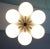 Austrian Mid-Century Chandelier For Sale - Image 6 of 11