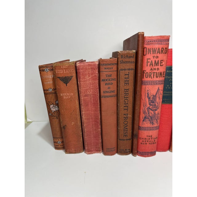 Traditional Shades of Red Vintage Book Set - 12 Pieces For Sale - Image 3 of 4