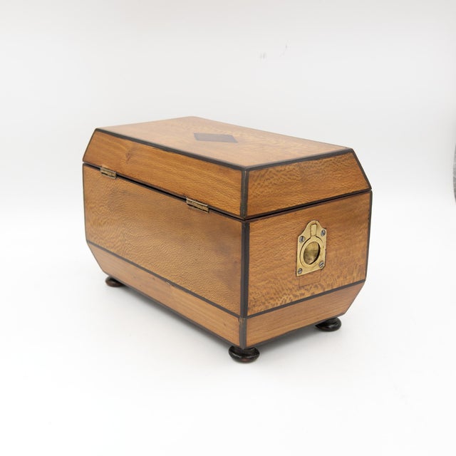 Campaign Early 19th Century Solid Lacewood Box With Campaign Handles For Sale - Image 3 of 13