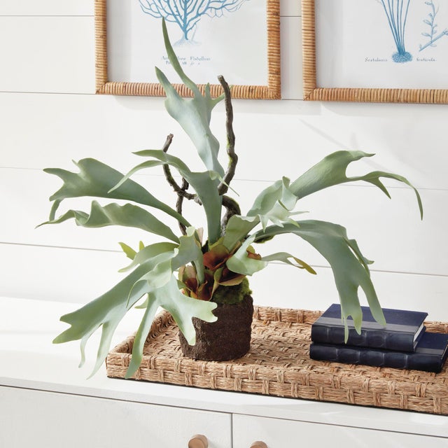 Metal Staghorn Fern Drop-In 22" For Sale - Image 7 of 8