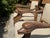 Late 20th Century Vintage Neoclassical Carved Dolphin Armchairs, Pair For Sale - Image 5 of 16