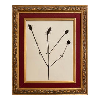 Contemporary Black and White Floral Framed Drawing For Sale