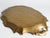 Mid-Century Florentine Rococo Style Scalloped Red Giltwood Tray, Italy, 1950s For Sale - Image 11 of 14