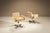 Metal Planula Swivel Armchairs by Ettore Sottsass, Italy, 1970s, Set of 2 For Sale - Image 7 of 13