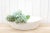 White Oversized French White Dough Bowl For Sale - Image 8 of 9