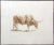 Realism 1970s "Grazing" Sepia Toned Etching by Chad Neff For Sale - Image 3 of 6