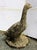 English Early-Mid 20th Century English Cast Stone Goose Garden Ornament For Sale - Image 3 of 5