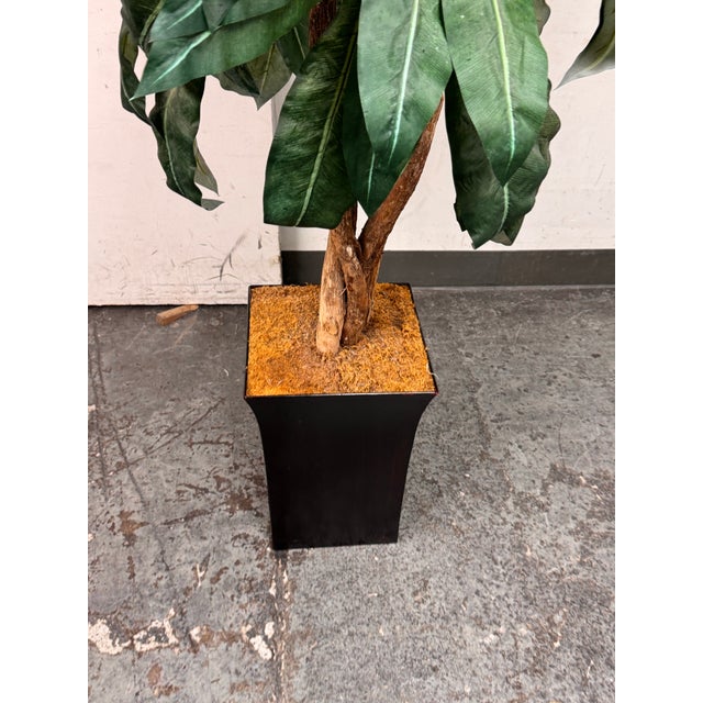 Faux Bird Nest Palm + Black Tapered Planter For Sale - Image 12 of 12