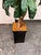 Faux Bird Nest Palm + Black Tapered Planter For Sale - Image 12 of 12