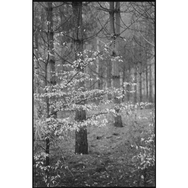 Not Yet Made - Made To Order Paul Cooklin, Scan 20211222 88, Edition of 50 For Sale - Image 5 of 5
