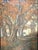 Heinrich Landgrebe, Fulda Castle Courtyard, Oil Painting on Canvas For Sale - Image 13 of 13