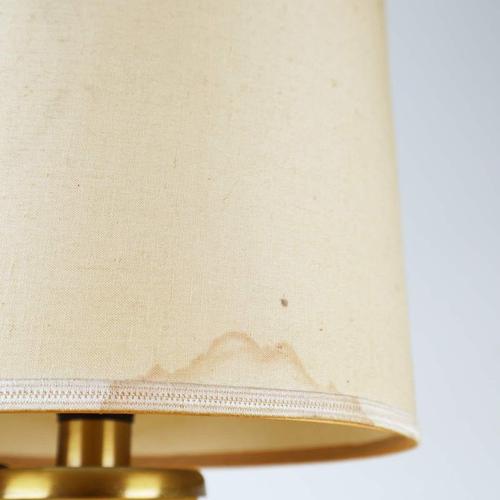 Vintage Frosted Glass Table Lamp Decorated with Leaves For Sale - Image 6 of 10