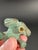 Vintage Patina Brass Frog Cabinet Knobs Drawer Pulls - Set of 4 For Sale - Image 15 of 15