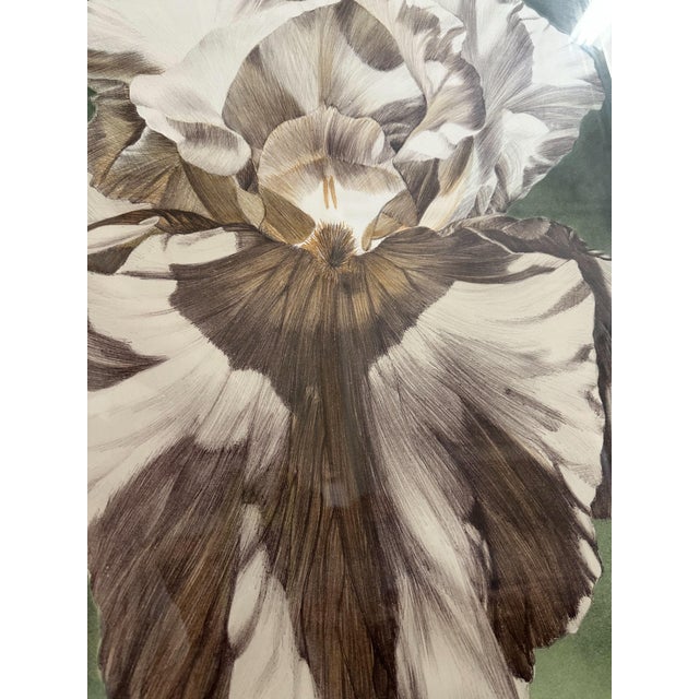1992 Framed Iris Litho Signed and Numbered Print by Winifred Godfrey For Sale - Image 4 of 16