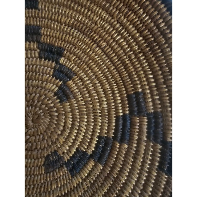 Antique Native American Pima (Akimel O'odham) Coiled Basket, Early 20th Century For Sale - Image 10 of 15