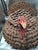 Mid 20th Century Coushatta & Seminole Pine Needle Basket For Sale - Image 9 of 12