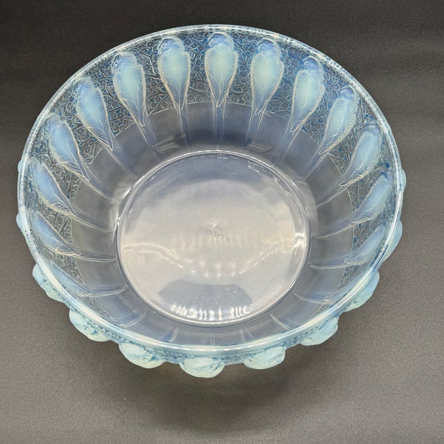 1930s Parakeet Cup by René Lalique for Lalique, 1931 For Sale - Image 5 of 11