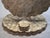Hollywood Regency 1960's Hallie St. Mary, Inc. Matching Capiz Shell Placemats & Coasters - Sets of 8 - 17 pcs For Sale - Image 3 of 15