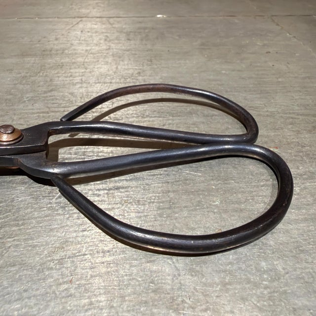 Traditional Pair of Forged Carbon Steel Loop-Handled Shears Chinese Bonsai For Sale - Image 13 of 15