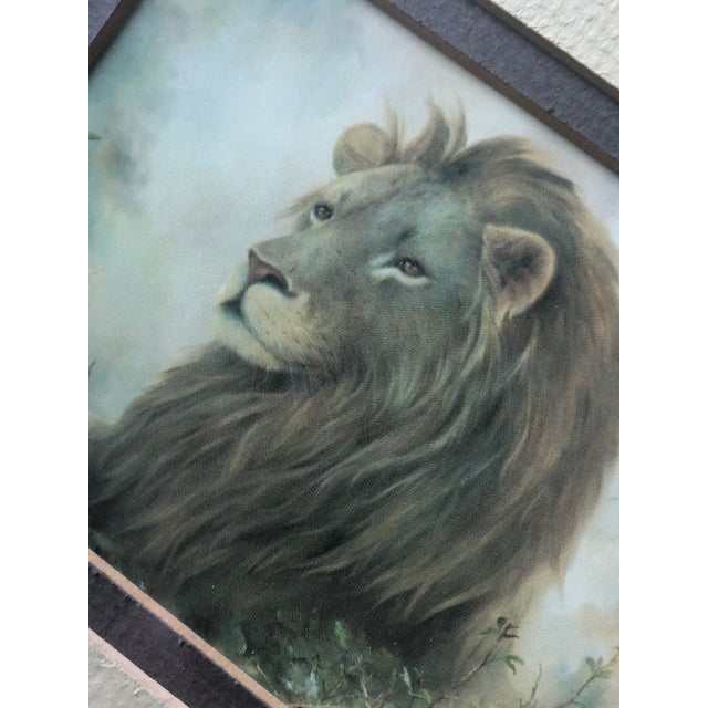 Wood 1970s Vintage Framed Lion Safari Print For Sale - Image 7 of 8
