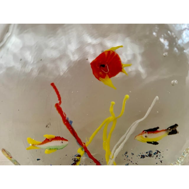 Glass Murano Fish Aquarium Paperweight For Sale - Image 7 of 7