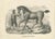 Antique print titled 'Mecklenburger'. Original old lithograph of a Mecklenburger horse. This print originates from...
