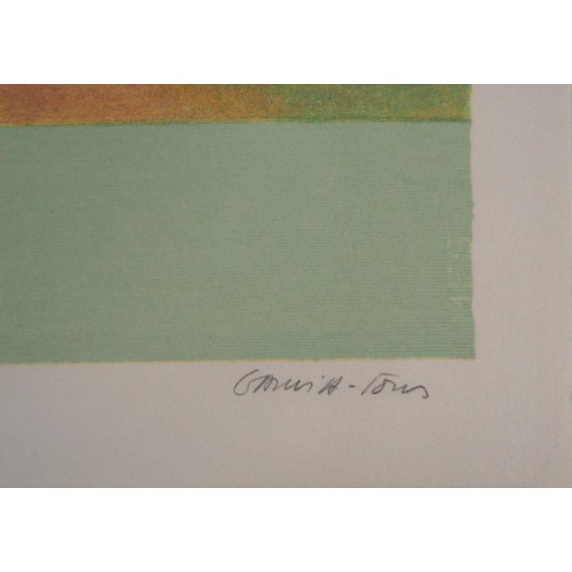 Pierre Garcia-Fons, Still Life View of the Lake, Lithograph For Sale - Image 4 of 8