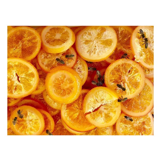 Cindi Emond, Candied Fruit as Sweet as Honey to a Bee, Photograph, 2016 For Sale