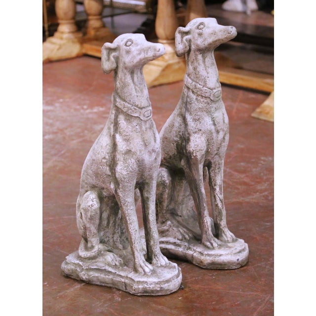 Decorate an outside front door or a backyard with this elegant pair of Lévriers (French for greyhound). Crafted in...