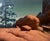 Stalemate by Diego Glazer | Oil on Canvas Landscape with rocks and a tree For Sale