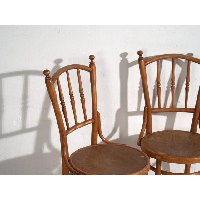Thonet Antique Bentwood Chairs, Central Europe, 1900s, Set of 4 For Sale - Image 4 of 13