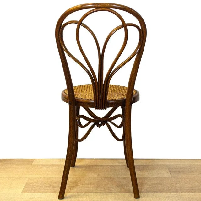 Antique Spanish Bentwood Chair in Oak by Ventura Feliu, 1890s, Set of 4 For Sale - Image 5 of 9