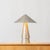Mid-Century Modern Hudson Valley Lighting Foxton 18 in. 1 Light Table Lamp in Warm Silver Leaf Finish For Sale - Image 3 of 9