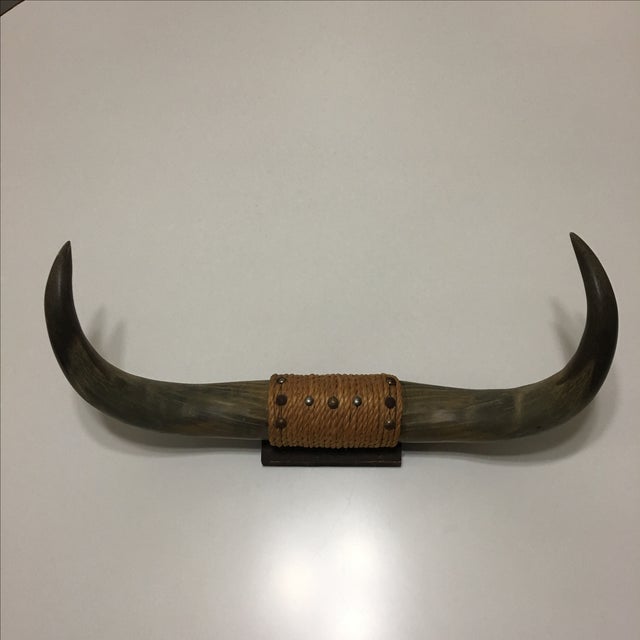 1950's Mounted Bull Horns Chairish