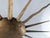 Metal Mid-Century Gilt Metal Sunburst Flush Mount, 1960s For Sale - Image 7 of 9
