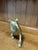 Few animals are as closely woven into the imagery of the English countryside as the fox. Glimpsed crossing a field at...