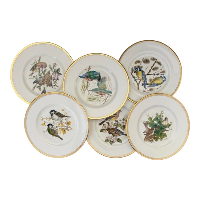1973 English European Bird Porcelain Dinner Plates by Boehm— Set of 6 For Sale