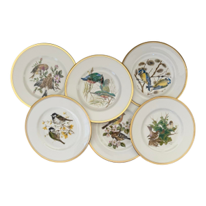 1973 English European Bird Porcelain Dinner Plates by Boehm— Set of 6