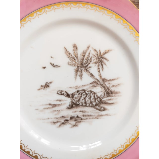 English 19th Century Pair of Decorative Wall Plates Animals and Pink Rim Attributed to Limoges France For Sale - Image 3 of 8