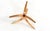 Brown Coffee Table with Boomerang Legs and Glass Top from Alma Möbel, 1960s For Sale - Image 8 of 13
