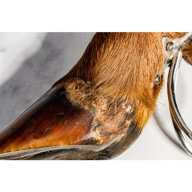 Country Sporting Decor Antique English Sterling Silver Mounted Deer Hoof Taxidermy Inkwell For Sale - Image 14 of 14