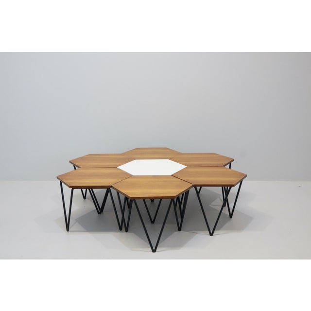 1950s Coffee Tables by Gio Ponti for Isa Bergamo, Italy, 1950s, Set of 7 For Sale - Image 5 of 15