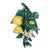 Rare Majolica Lemons Applique Delphin Massier, Circa 1890 For Sale