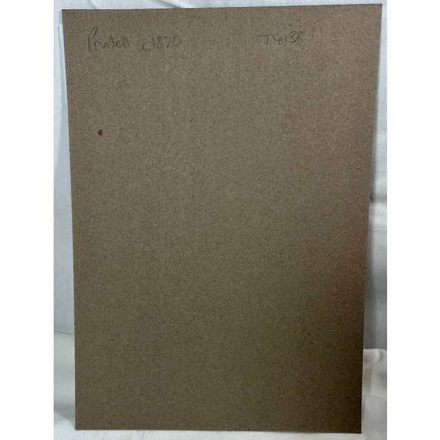 Antique Hand Colored Botanical Print/ Illustration of Various Red & Yellow Poppy Flower Varieties From England - Circa 1870 For Sale - Image 9 of 10