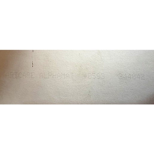 1995 Warner Bros. “Friz” Isadore Freleng Tribute Framed Print For Sale In Los Angeles - Image 6 of 7