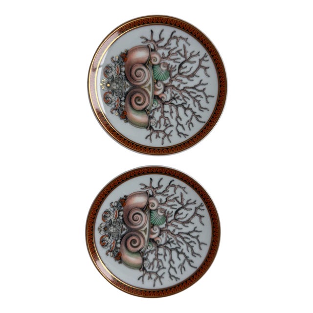 Etoiles de la Mer Plates by Versace for Rosenthal, 2000s, Set of 2 For Sale