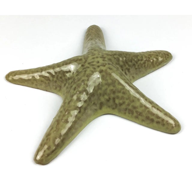 Unique piece to hang on your wall or simply sit on a shelf or bookcase. Pretty realistic looking in my opinion. The outer...