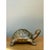 Metal Vintage Burnished Brass Turtle For Sale - Image 7 of 12
